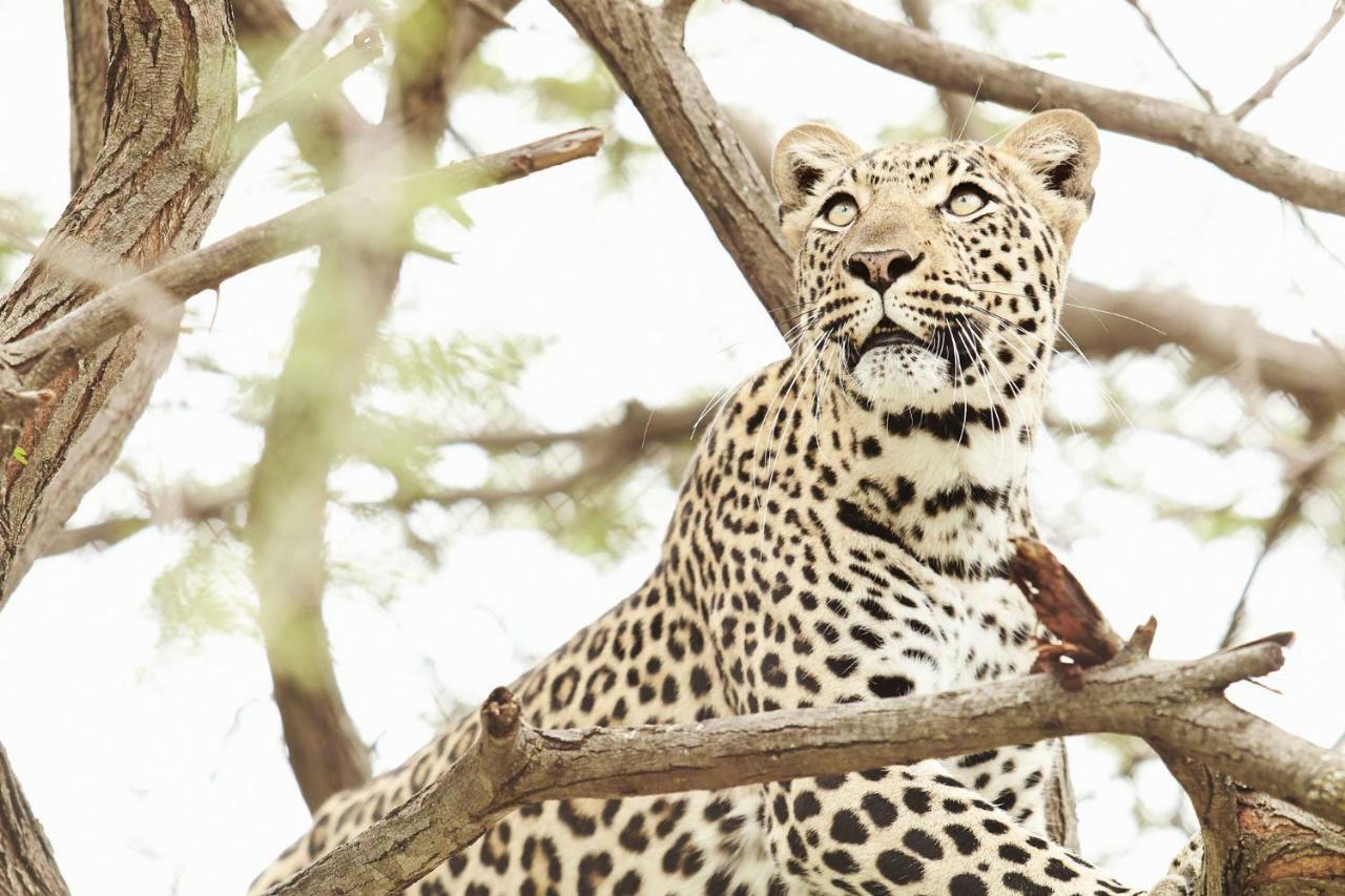 Vuyani River Lodge Hoedspruit Dış mekan fotoğraf